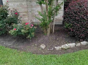 Weeding by Alexis Perez for Mike B. in Houston, TX