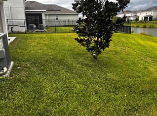 Karen F.'s Yard Cutting service result