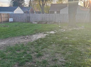 Leaf Removal by Charles Lewis for Zack R. in Livonia, MI
