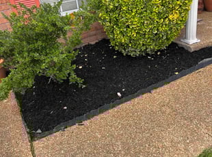 Mulching by James Franks for T. in Memphis, TN
