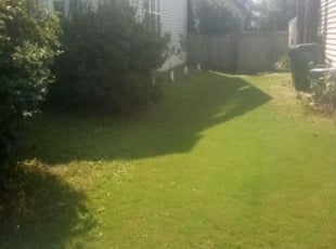Bush Trimming by Kenny Hooks for Alexander B. in Raleigh, NC