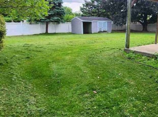 Elizabeth S.'s Grass Cutting service result