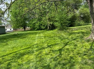 Kristina B.'s Grass Cutting service result
