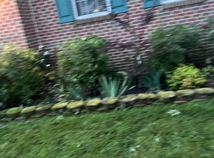 Bush Trimming by Cornell Hines for Sean S. in Clinton, MD