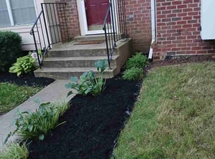 Allison P.'s Mulching service result