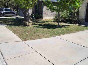 Leaf Removal by Jason Westgor for Rosie M. in Boerne, TX