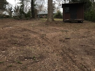 Leaf Removal by Zane Rollins for Julie Michelle D. in Columbia, SC