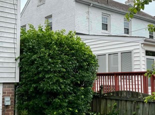 Bush Trimming by Carlos Giron for Janice D. in Washington, DC