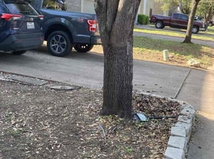 Bush Trimming by Keily Delgado Preciado for Janelle P. in Cedar Park, TX