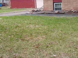 Leaf Removal by Ryan Carlson for Rumeal H. in Minneapolis, MN