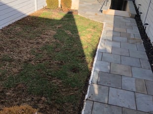 Leaf Removal by Jarell Tucker for Morgan G. in Washington, DC