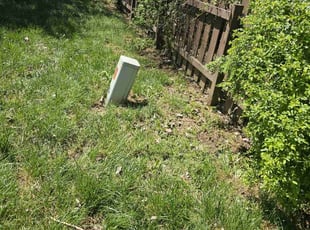 Cleanups by Leroy Green II for Beverly P. in Columbus, OH