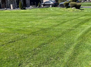 Kevin K.'s Yard Cutting service result
