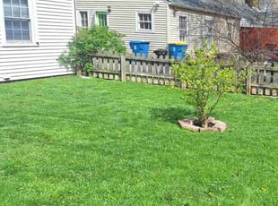 David T.'s Lawn Service service result