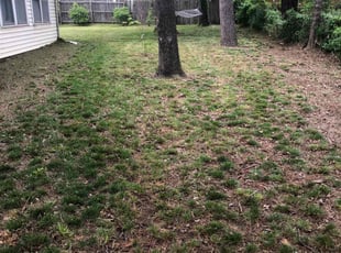 Leaf Removal by Paul Handley for Valerie S. in Tulsa, OK