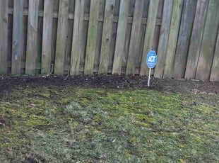 Leaf Removal by Jose Gonzalez for Barbara B. in Waldorf, MD