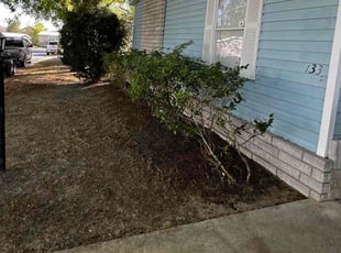 Leaf Removal by James Ramey for Ashley G. in Davenport, FL