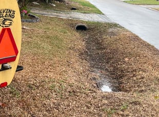 Leaf Removal by Brandon Bowden for Timothy G. in Sarasota, FL