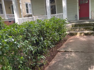 Weeding by Patrick Etienne for Evelyn C. in Atlanta, GA