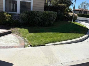 Bush Trimming by J Andres Gomez for Alex B. in Rancho Santa Margarita, CA