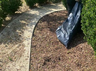Weeding by Mekeila Morris for Hannah F. in Baton Rouge, LA