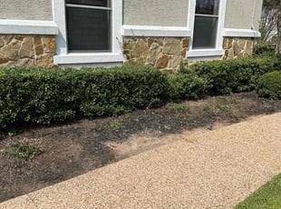 Weeding by Lew Wright for Grant B. in Austin, TX