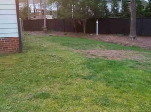 Leaf Removal by Peter Dean for Katie P. in Chapel Hill, NC
