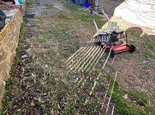 Leaf Removal by Edgar Elmore for Nisly J. in Bethesda, MD