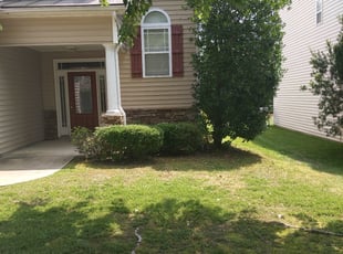 Bush Trimming by Logan Lawson for Shirley B. in Raleigh, NC