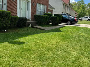 Bush Trimming by Norman Blanchard for Antonio B. in Fort Washington, MD