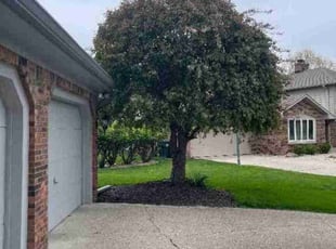 Daniela A.'s Yard Cutting service result