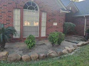 Bush Trimming by Edgar Davila for Dahlia M. in Katy, TX