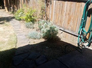 Weeding by James Benefield for Laura D. in Portland, OR