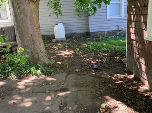 Leaf Removal by Vanesa Harisi for John Paul E. in Ansonia, CT
