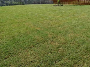 Kumar R.'s Lawn Mowing Service service result
