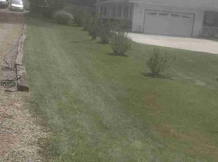 kathy s.'s Lawn Service service result