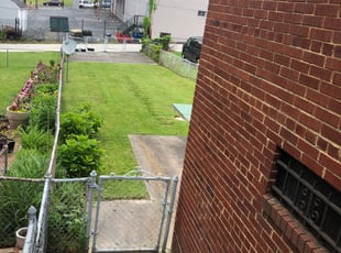 Bush Trimming by Rudy Quick for Charlotte D. in Washington, DC