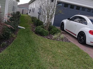 Bush Trimming by Brady Edmonds for Jennifer A. in St. Augustine, FL