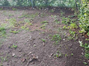 Cleanups by Mia St John for Jelani G. in Minneapolis, MN