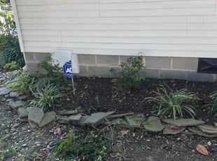Bush Trimming by Chase Hatmaker for Matthew H. in Norfolk, VA