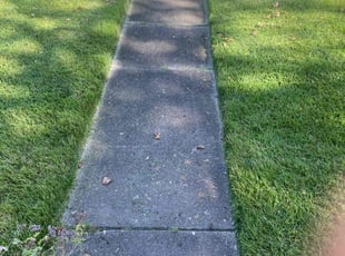 Jenny B.'s Lawn Mowing Service service result