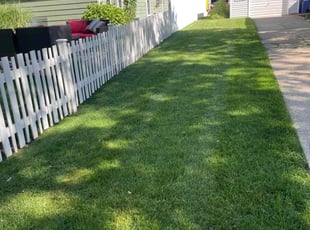 Mark P.'s Grass Cutting service result