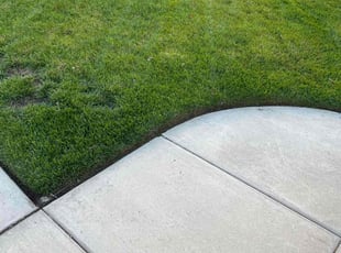 Nancy T.'s Lawn Care service result