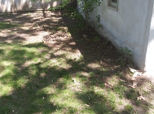 Cleanups by Ross Olin for Benjamin W. in Minneapolis, MN