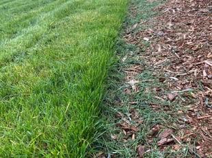 Ama S.'s Lawn Service service result