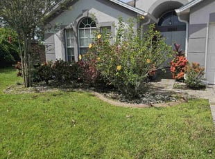 Weeding by Jorge Cruz for Terry L. in Orlando, FL