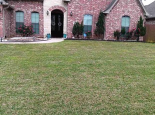 Jennifer J.'s Lawn Mowing Service service result