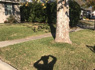 Cleanups by Christopher Hernandez for Kevin H. in Fort Worth, TX