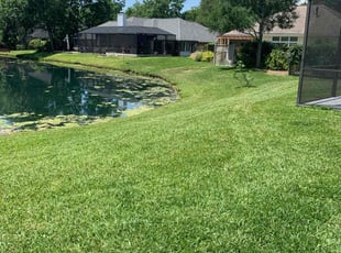 Stephen W.'s Lawn Care service result