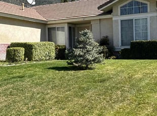 Bush Trimming by Jvon Robinson for Lance O. in San Bernardino, CA